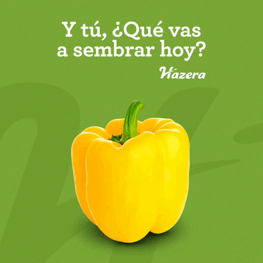 GIF Qué Vas a Sembrar 1080x1080px